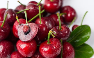 要我说啊， 买种子就跟相亲似的