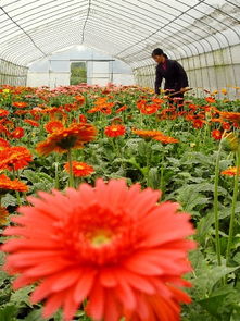 改过方案，是不是那么容易实施？