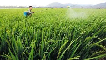 啥叫拖拉机喷农药呀？