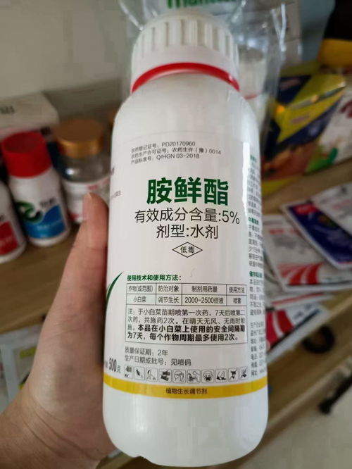 白菜霜霉病防治，丙环唑Neng否彻底治愈呃？揭秘三个关键步骤