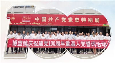 月季：家门口的致富花