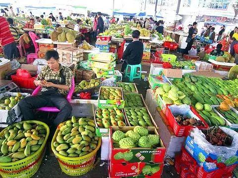 金西梅：中国特产水果
