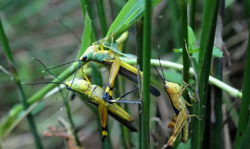 适用性，一场考验