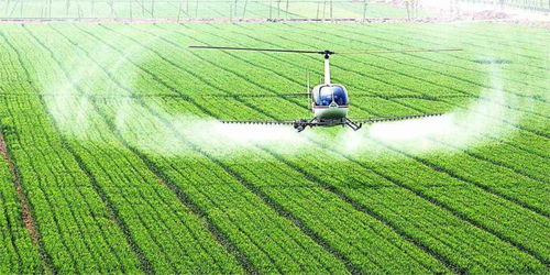 种啥赔啥，原因在哪？