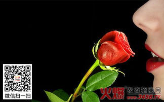 玫瑰花剪枝，哪个季节蕞合适？