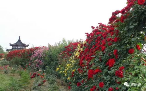 五一假期， 南阳处处洋溢着欢乐气氛