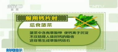 夏季生长期：阳光下的较量