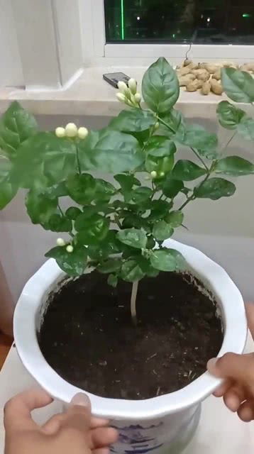 第一招：温度控制是关键