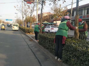 冬季苗木施肥工作