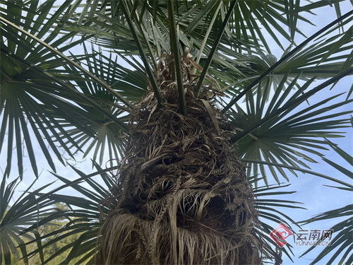 1. 福州新天成小商品批发市场