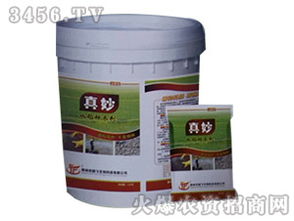 亮盾种衣剂：水稻健康成长的守护神