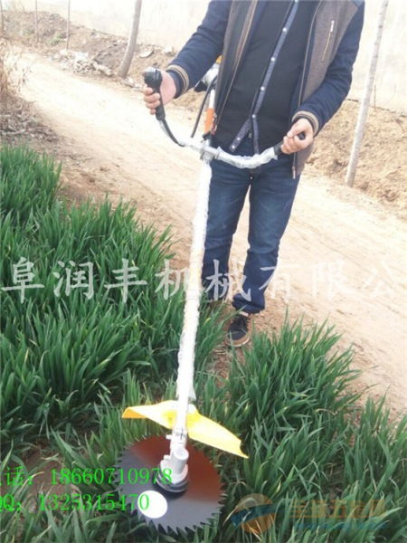 听说有种神奇的草