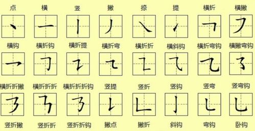 是字种子种植攻略，你了解吗？