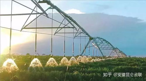 揭秘农业灌溉：地球水循环的关键作用