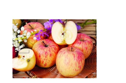 世界上最大的苹果重达9公斤，你知道它是如何诞生的吗