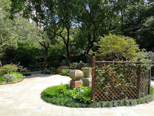 园林植物修剪造型艺术