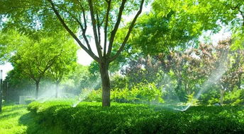 园林绿化乔灌木修剪造型， 关键在规范