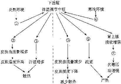 热应激加剧养殖场风险，需加强环境调控