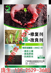 利用锅底灰改良土壤，提高农作物抗病能力