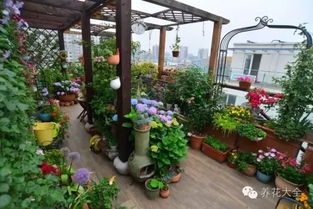 立体布局与种植容器，增加绿植容量