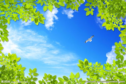 将“叶子飘落”的天空拆分为：“叶子飘落