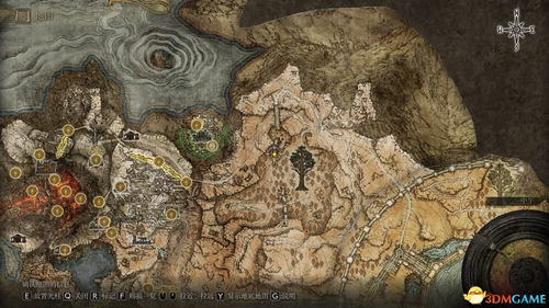 橡树种子露头的奇妙旅程