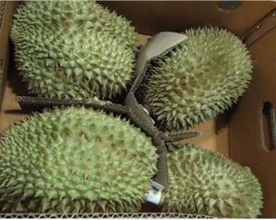 榴莲的好处和坏处