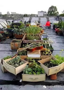 成dou的气候， 种菜的气候小贴士