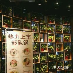 如何根据黄金庆典主题，精心修剪装饰使其更符合庆典氛围