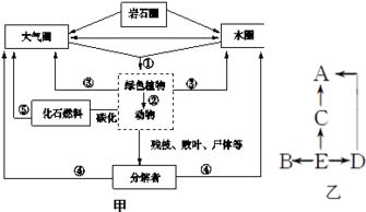 猪粪污在种养循环中如何有效利用，避免污染问题