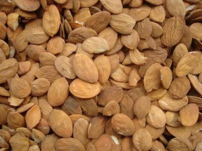 扁桃仁和杏仁的区别