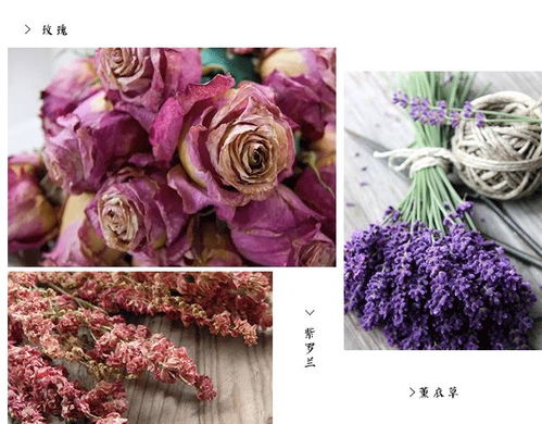 制作干花的步骤