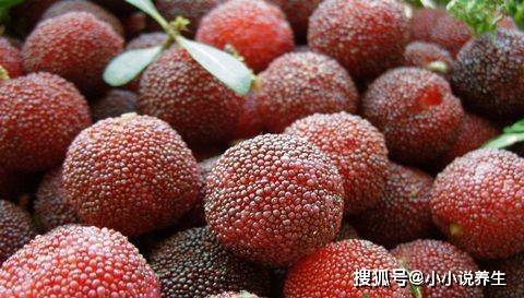 果梅调肠胃促消化，杨梅降血脂利减肥