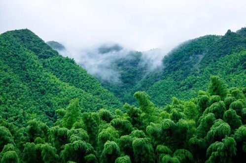 张家界度假村的“网红打卡点”