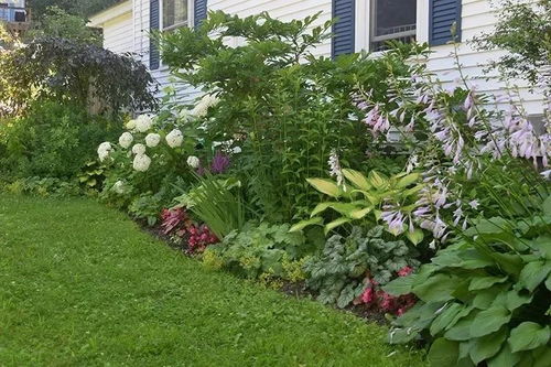网红小屋案例：薄荷小屋