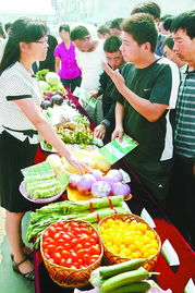 春季郑州的气候特点