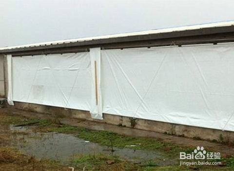 9月26日，夏季猪场降温新法