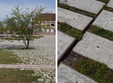 海绵城市景观设计案例：多样风格大揭秘