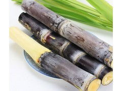 甘蔗专用农药的优势