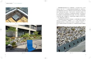 屋顶花园的奇妙世界