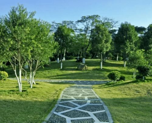 绿化工，你们在哪里？