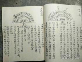 杨梅喜阴喜阳，生长秘诀大揭秘！