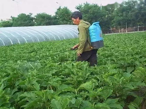 使用说明是关键