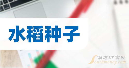 2024年10月19日，优质水稻种子批发价格行情
