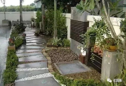 庭院改过选对草种让花开成海