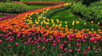 价格下行与成本压力