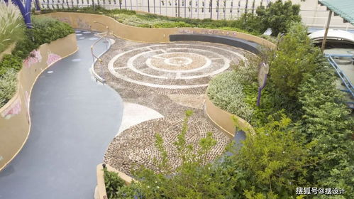 藤本植物的点缀