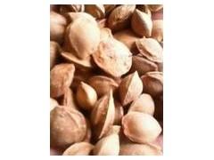 山杏核与山杏种子的供应