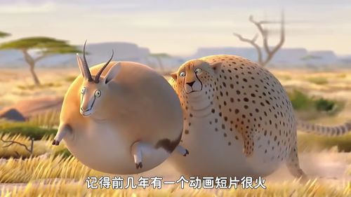 风滚草，你真的了解它吗