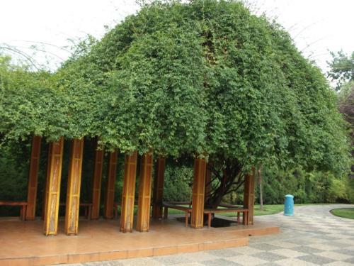 楼顶遮阳网搭建全攻略：打造凉爽一夏的小窍门